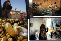 What Are The Best Documentaries To Watch Right Now